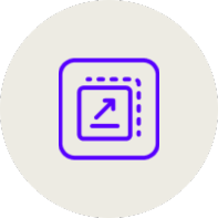 Designed for Scale Icon