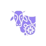 livestock